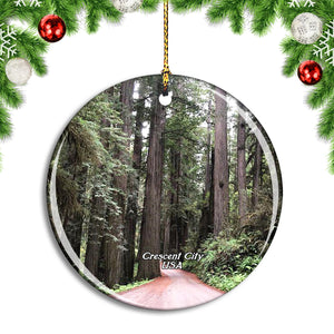 USA America Crescent City Redwoods Park Christmas Ornament