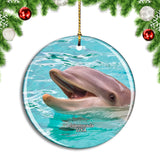 USA America Islamorada Dolphin Theater of the Sea Christmas Ornament