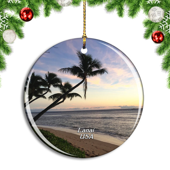 USA America Lanai Christmas Ornament