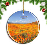 USA America Lancaster California Poppy Reserve Christmas Ornament