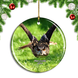 USA America Marysville Owl West Coast Falconry Christmas Ornament