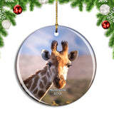 USA America Melbourne Brevard Zoo Christmas Ornament