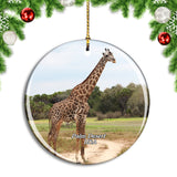 USA America Palm Desert Giraffe Zoo and Gardens Christmas Ornament