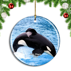 USA America Sea World San Diego Christmas Ornament