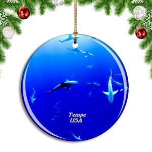 USA America Tempe Arizona Aquarium Christmas Ornament