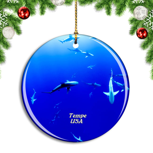 USA America Tempe Arizona Aquarium Christmas Ornament