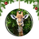 USA America Toledo Zoo Giraffe Christmas Ornament