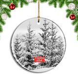 USA America Truckee Christmas Ornament