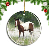 USA America Virginia Beach Horse Christmas Ornament