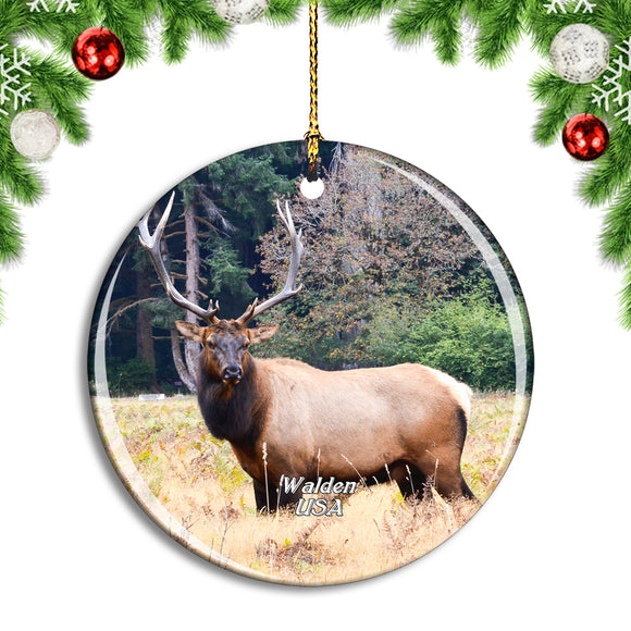 USA America Walden Elk Colorado Christmas Ornament