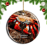 Ecuador Crab Galapagos Christmas Ornament