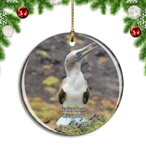 Ecuador Galapagos Blauwvoetgent Christmas Ornament