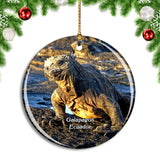 Ecuador Marine Lizard Galapagos Christmas Ornament