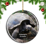 Ecuador Tortoise Giant Galapagos Turtle Islands Christmas Ornament