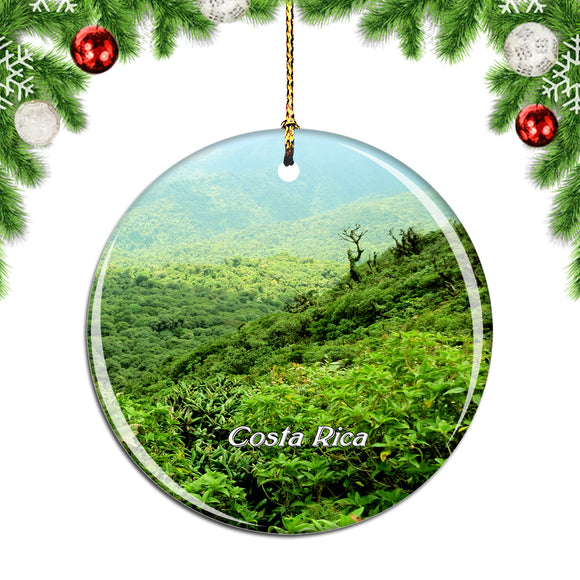 Costa Rica Monteverde Cloud Forest Reserve Christmas Ornament