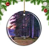 UK England Dartmoor Forest Christmas Ornament