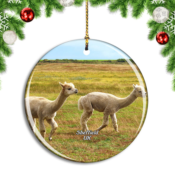 UK England Sheffield Mayfield Alpacas Christmas Ornament