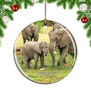 Elephant Moremi Wildlife Reserve Botswana Christmas Ornament