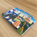 San Diego USA America Fridge Magnet 3D Resin