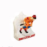 Saas Fee Switzerland Fridge Magnet 3D Resin