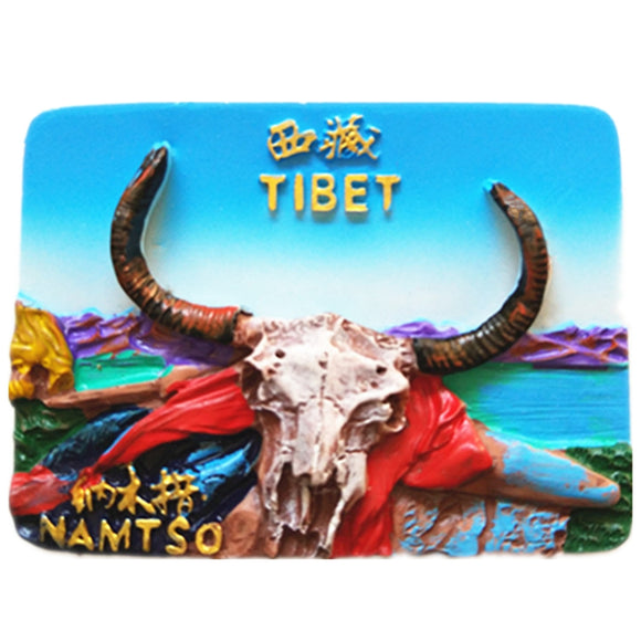 Tibet China Fridge Magnet 3D Resin