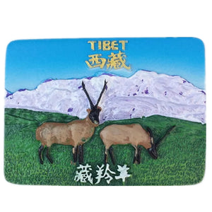 Tibet China Fridge Magnet 3D Resin