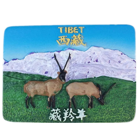 Tibet China Fridge Magnet 3D Resin