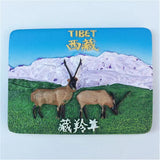 Tibet China Fridge Magnet 3D Resin