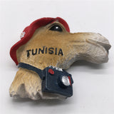 Camel Tunisia Fridge Magnet 3D Resin