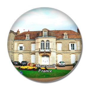 Meursault France Chateau 3D Fridge Magnet Crystal Glass