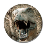 Meze France Musee - Parc des Dinosaures 3D Fridge Magnet Crystal Glass