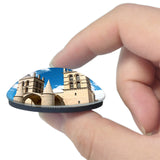 Montpellier France Cathedrale St-Pierre 3D Fridge Magnet Crystal Glass