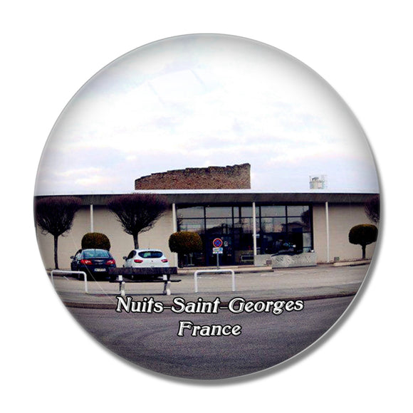 Nuits-Saint-Georges France Le Cassissium 3D Fridge Magnet Crystal Glass