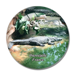 Pierrelatte France La Ferme aux Crocodiles 3D Fridge Magnet Crystal Glass