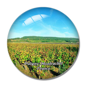 Puligny-Montrachet France Olivier Leflaive 3D Fridge Magnet Crystal Glass