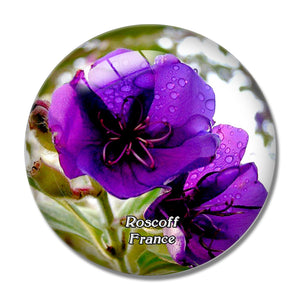 Roscoff France Jardin Exotique et Botanique 3D Fridge Magnet Crystal Glass