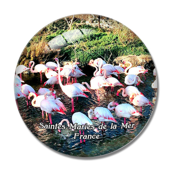 Saintes-Maries-de-la-Mer France Le Parc Ornithologique de Pont de Gau 3D Fridge Magnet Crystal Glass