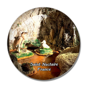 Saint-Nectaire France Fontaines Petrifiantes 3D Fridge Magnet Crystal Glass