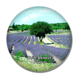 Saint-Remeze France Musee de la Lavande 3D Fridge Magnet Crystal Glass