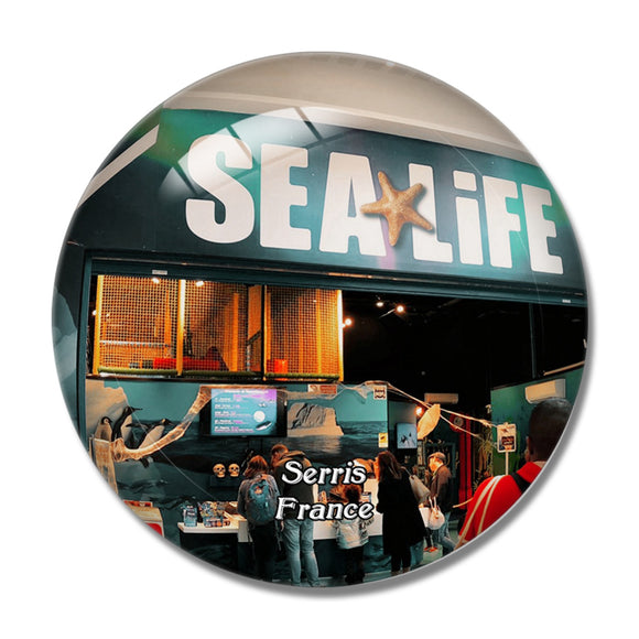 Serris France Sea Life 3D Fridge Magnet Crystal Glass