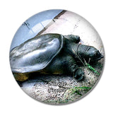 Sorede France La Vallee des Tortues 3D Fridge Magnet Crystal Glass