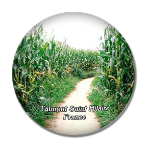 Talmont Saint Hilaire France Labyrinthe En Delire 3D Fridge Magnet Crystal Glass