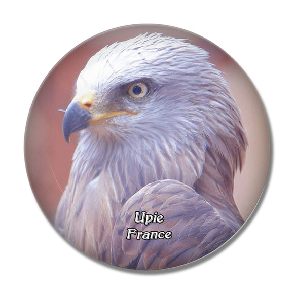 Upie France Le Jardin Aux Oiseaux 3D Fridge Magnet Crystal Glass