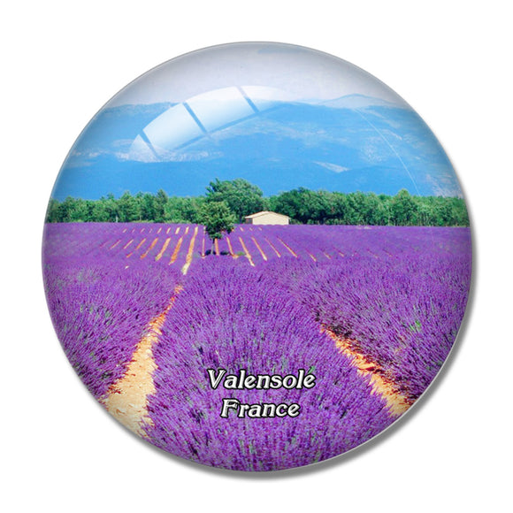 Valensole France Plateau de Valensole 3D Fridge Magnet Crystal Glass