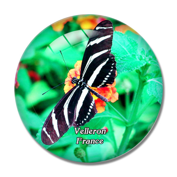 Velleron France Le Carbet Amazonien 3D Fridge Magnet Crystal Glass