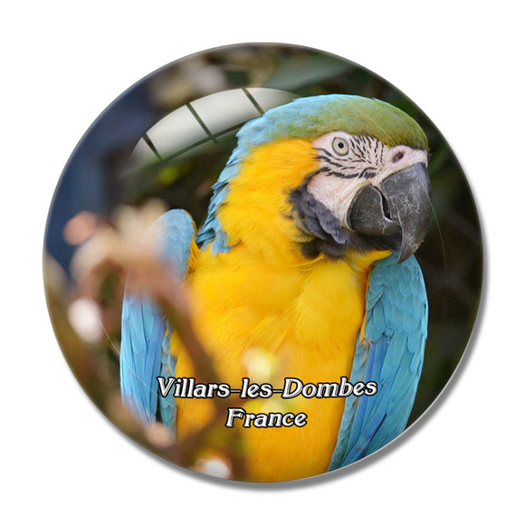 Villars-les-Dombes France Parc des Oiseaux 3D Fridge Magnet Crystal Glass