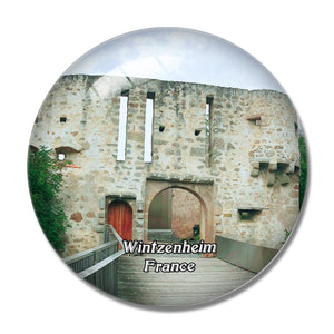 Wintzenheim France Chateau du Hohlandsbourg 3D Fridge Magnet Crystal Glass