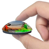 Bregenz Festival Austria 3D Fridge Magnet Crystal Glass