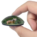 Grafenau Wolf Germany 3D Fridge Magnet Crystal Glass