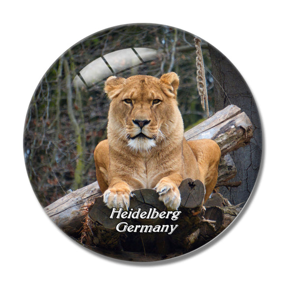 Heidelberg Zoo Lion Germany 3D Fridge Magnet Crystal Glass